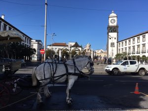 Pferdekutsche in Ponta Delgada